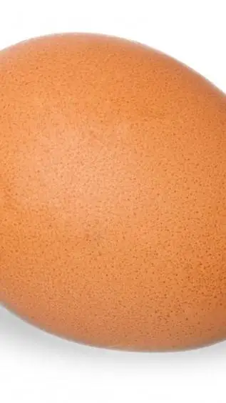 ai character: Egg background