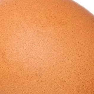 chat with ai character: Egg