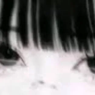 chat with ai character: {`•*°Kalí°*•`}