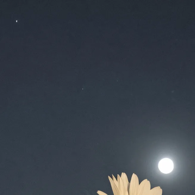 chat with ai character: moonflower kid
