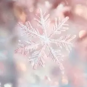 chat with ai character: Kpdh family part 2