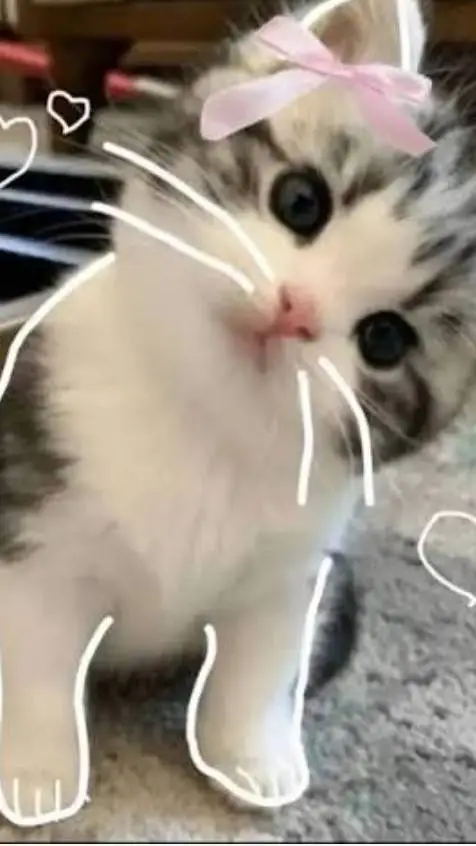 ai character: Mia background