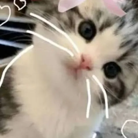 chat with ai character: Mia