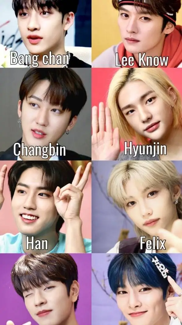 ai character: stray kids  background
