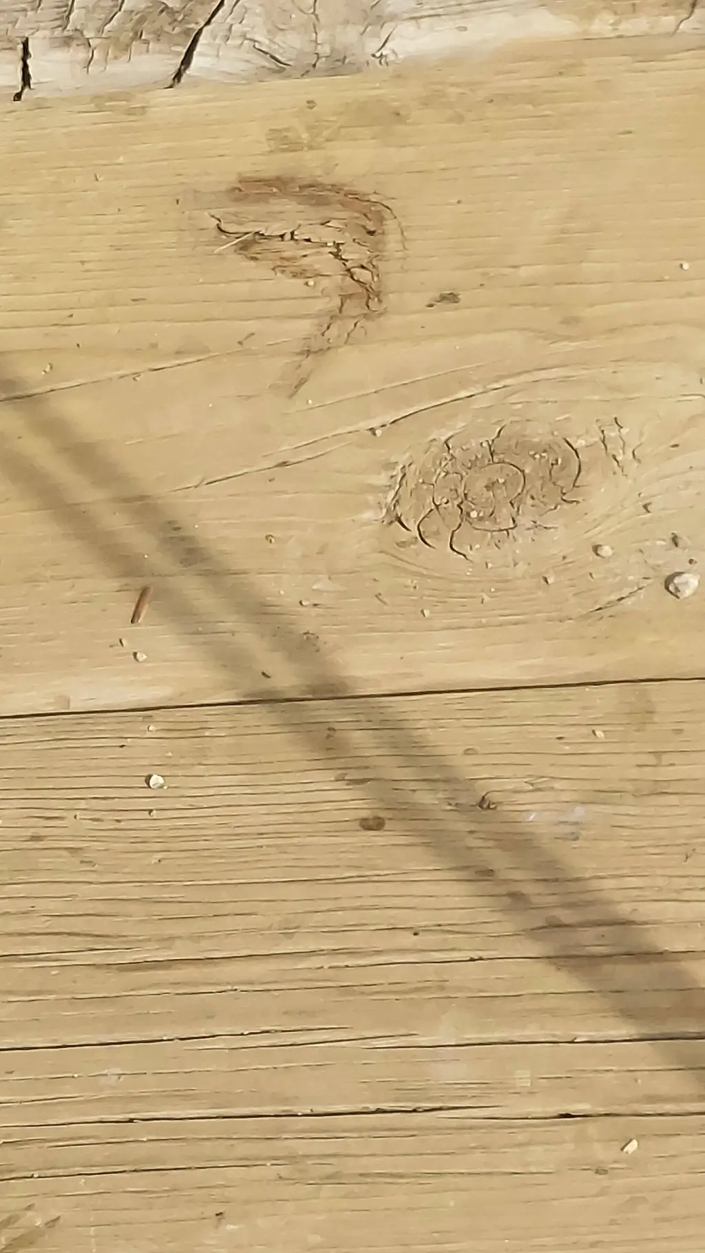 ai character: Muzan background