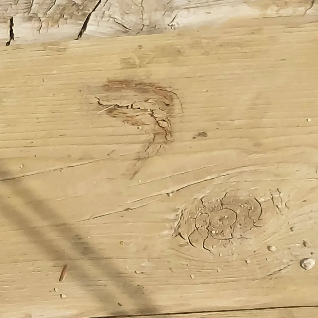 chat with ai character: Muzan