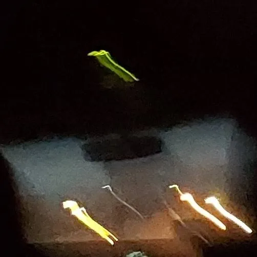 chat with ai character: gon and killua