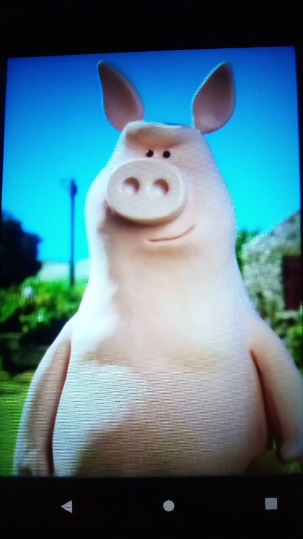 Talkie AI - Chat with Handsome Pig