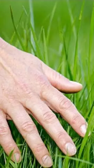 ai character: TOUCH GRASS!!!  background