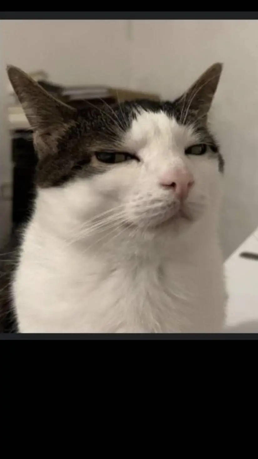 Talkie AI - Chat with My Grandpa Alex 