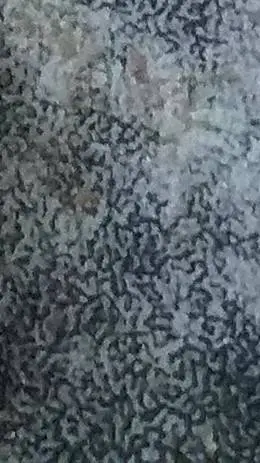 ai character: dat one csm sc- background