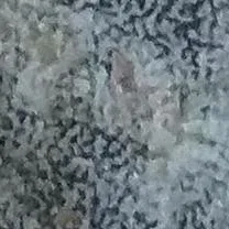 chat with ai character: dat one csm sc-