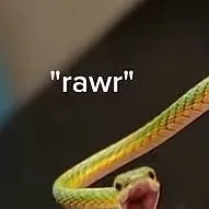 chat with ai character: Badboyhalo