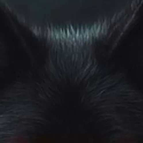 chat with ai character: Shadow 