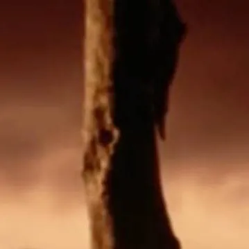 chat with ai character: Johnny Cade