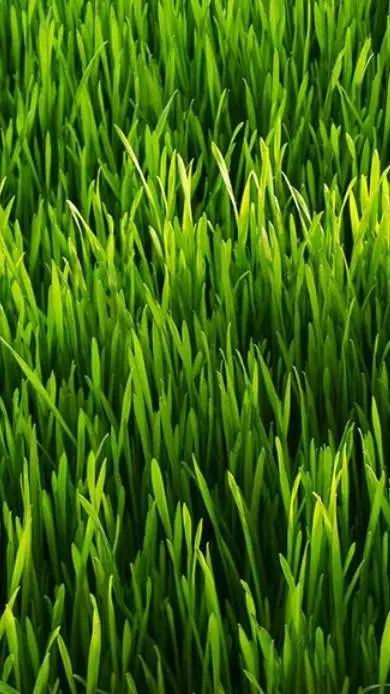 ai character: Fantasy world background