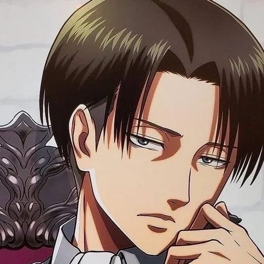 chat with ai character: Captain Levi