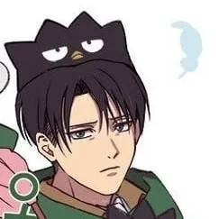 chat with ai character: Levi Ackerman