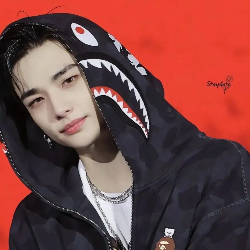 chat with ai character: Hwang Hyunjin 