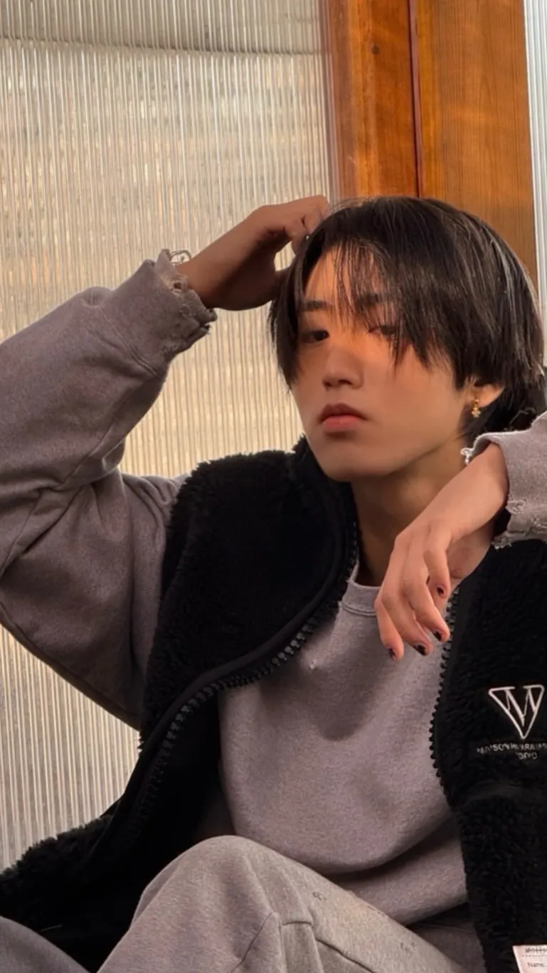 ai character: Han Jisung background