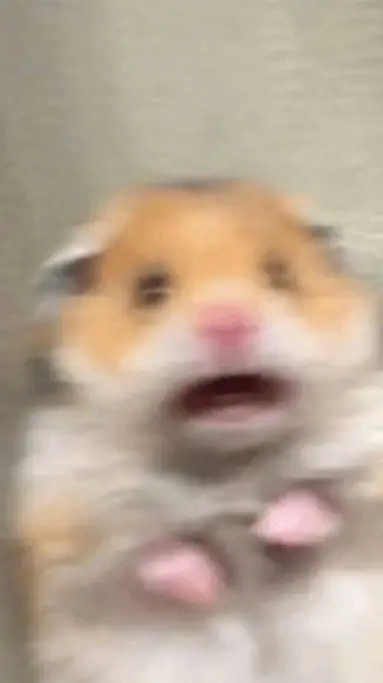 ai character: Makoto Naegi<3 background