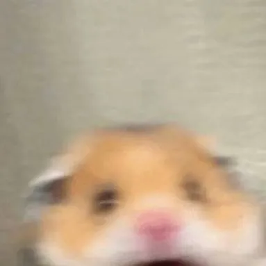 chat with ai character: Makoto Naegi<3