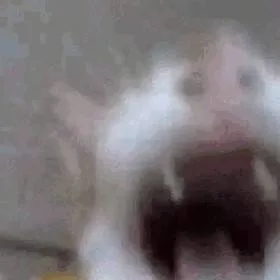 chat with ai character: Nagito Komaeda 