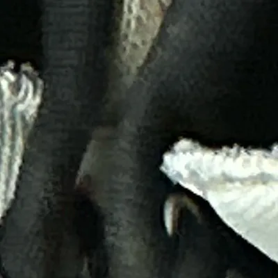 chat with ai character: Shoes