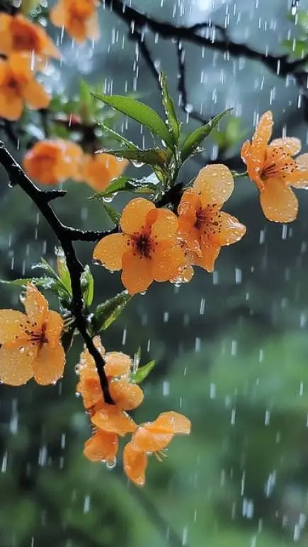 ai character: You start ♡ background