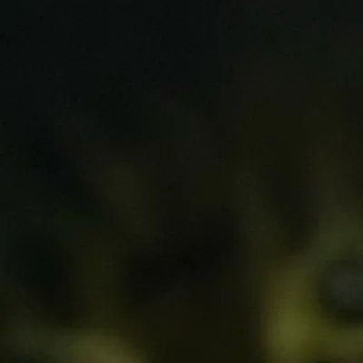 chat with ai character: Zora