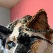 chat with ai character: therian 