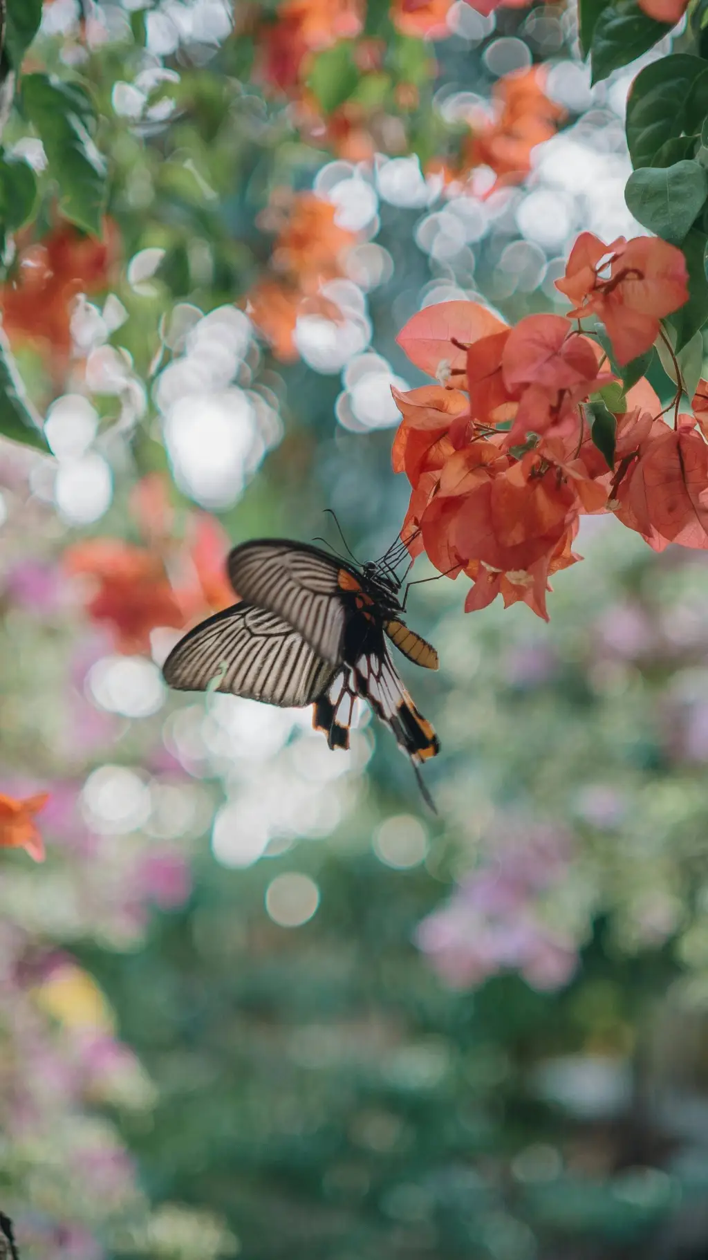 ai character: Oscar background