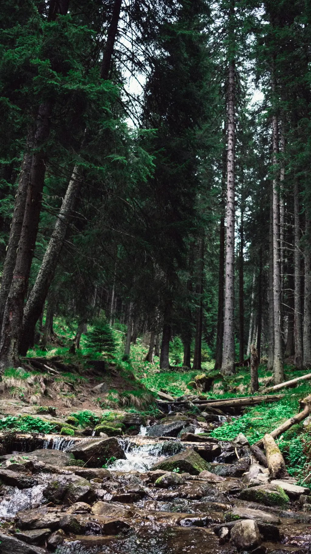 ai character: Harvey background