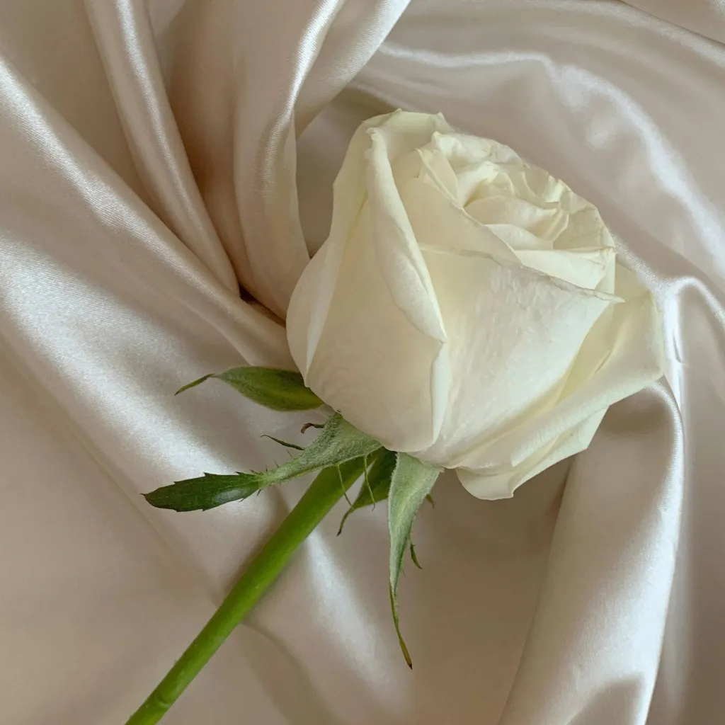 chat with ai character: Remus