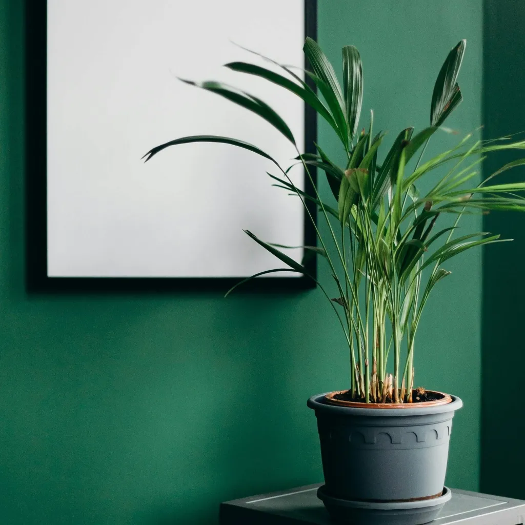 chat with ai character: Fabian