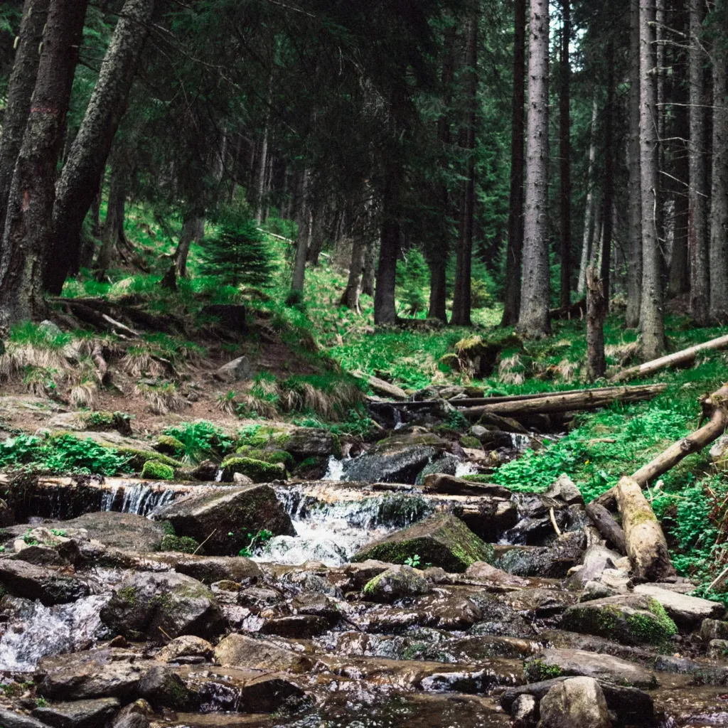 chat with ai character: Harvey