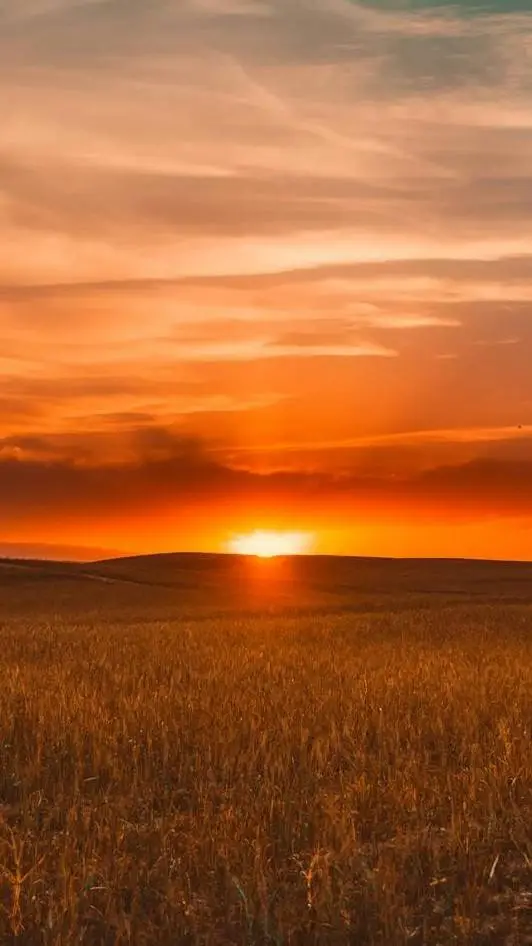 ai character: Wesley background