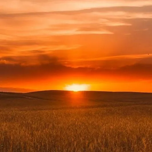 chat with ai character: Wesley