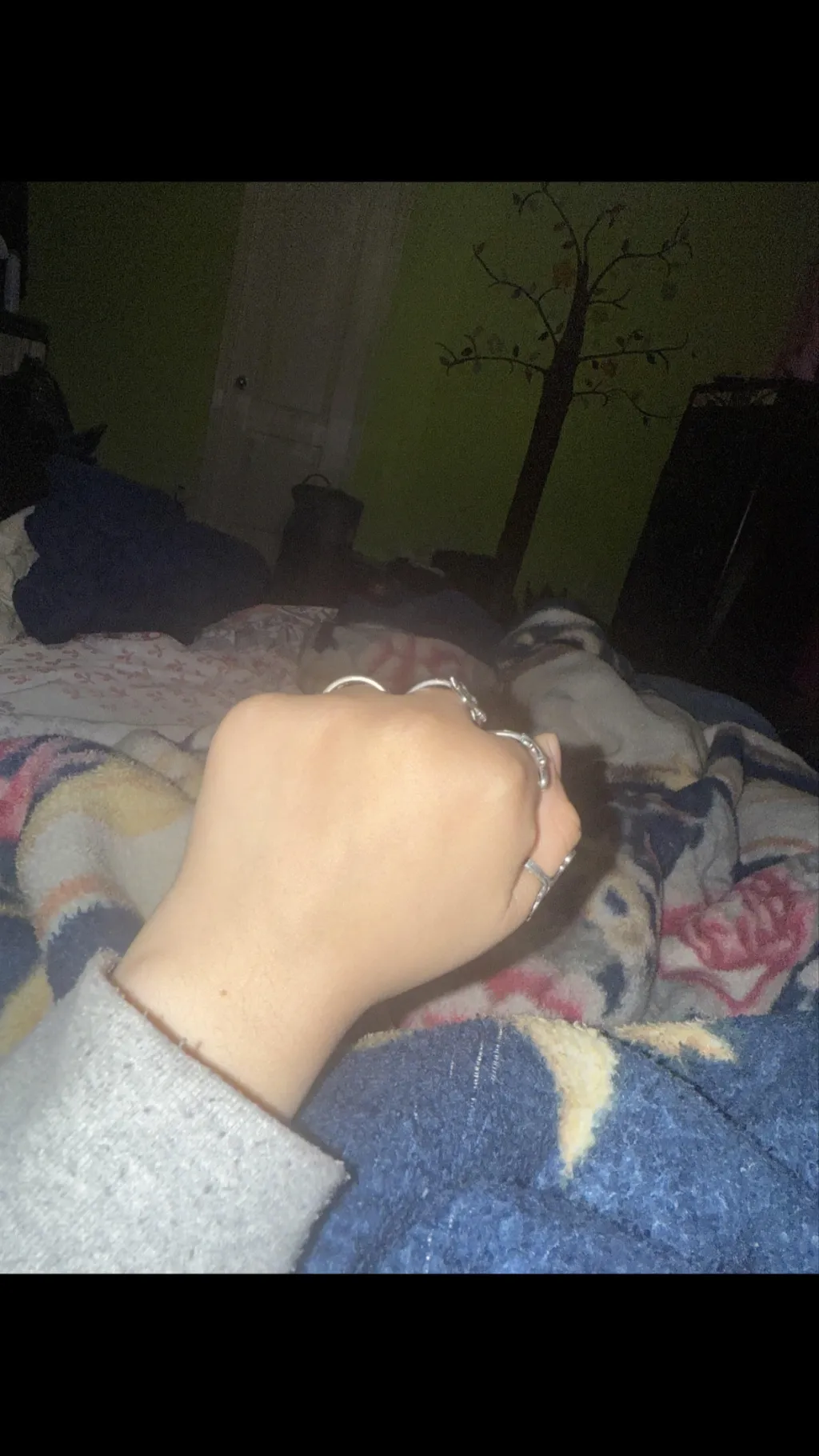 ai character: nikki’s fist background