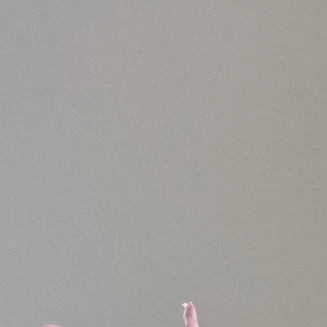 chat with ai character: peck