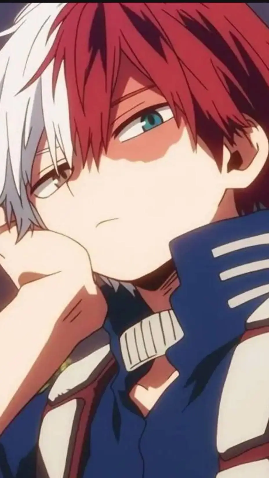ai character: ❄️Shoto🔥 background