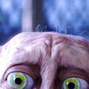 chat with ai character: Dobby