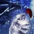 chat with ai character: Arctic fox 