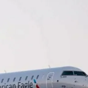 chat with ai character: Another plane ride