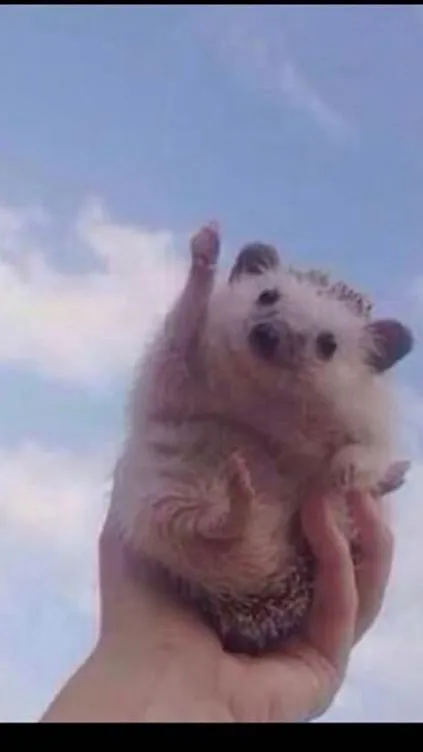 ai character: Cheering Headhog background