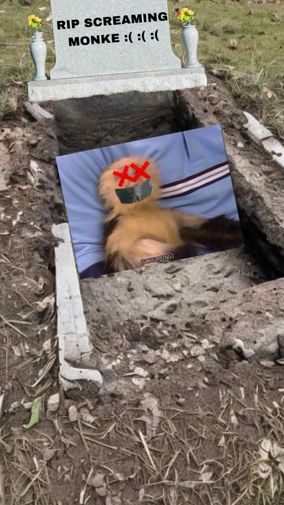 ai character: Dead Monke background