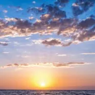 chat with ai character: The Day Of Solace