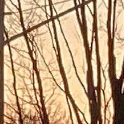 chat with ai character: Good Bye.