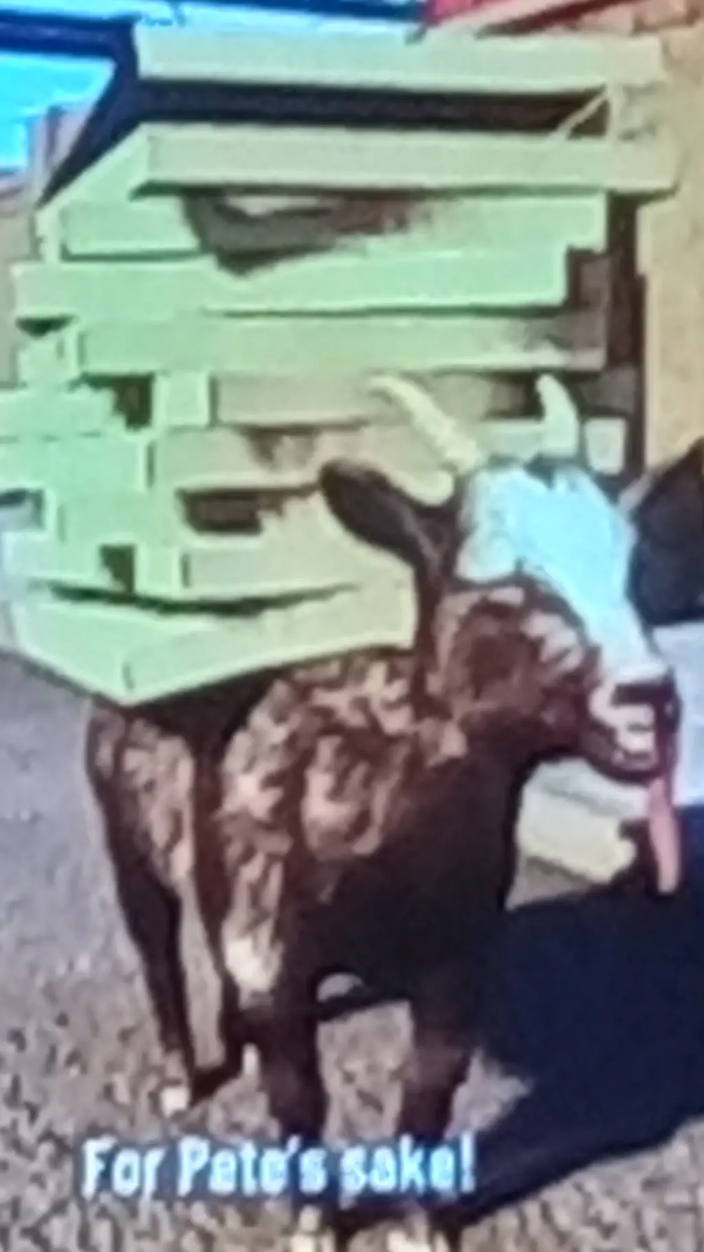 ai character: pilgorini pizzanin background