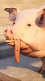 ai character: Level Up Pig background